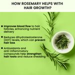 Buy Alps Goodness Rosemary Water Spray 100 ml + 32 ml - Purplle