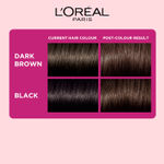 Buy L'Oreal Paris Casting Creme Gloss Conditioning Hair Color - Dark Chocolate 323, 87.5 gm + 72 ml, No Ammonia Formula, 4X Glossy Shine, Provides Optimal Grey Coverage for All Hair Types - Purplle