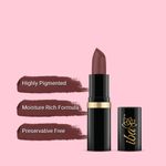 Buy Iba Moisture Rich Lipstick - A46 Spicy Nude - 4 gm - Purplle