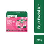 Buy Nature's Essence Gentle Fruit Facial Kit (250 gm) - Purplle
