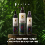 Buy Pilgrim Patua & Keratin Hair Smoothening Shampoo For Dry & Frizzy Hair | Silicone Free | Sulphate & Paraben Free Shampoo With Sacha Inchi For Women & Men For Hair Strengthening & Healthy Scalp (200 ml) - Purplle