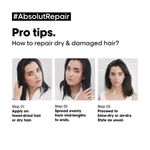 Buy L'Oreal Professionnel Serie Expert Absolut Repair Shampoo +Serie Expert Absolut Repair Mask + Absolut Repair Oil 10-in-1 (300 ml + 250 gm + 90 ml) - Purplle