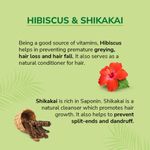 Buy Nyle Naturals Damage Repair Shampoo, With Goodness Of Shikakai And Hibiscus, 800 ml - Purplle