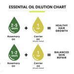 Buy Alps Goodness Rosemary Haircare Power Duo with Rosemary Water (200 ml) & Rosemary Essential Oil (10 ml) | For Thick-Long Hair | Hair Growth Experts - Purplle