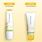 Buy Biolage Professional Smoothproof Anti-Frizz Shampoo Up to 72HR Frizz Control With Camellia Flowers Shampoo for Dry and Frizzy Hair Vegan 200 ml + Smoothproof Conditioner | For Frizzy Hair (200 ml + 98 gm)Combo of 2 - Purplle