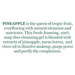Buy Biotique Pineapple Oil Control Foaming Face Cleanser (120 ml) - Purplle