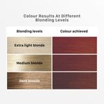 Buy Streax Mini Hair Colour Highlight Kit, Latte Brown, DIY Application, 75 gm - Purplle
