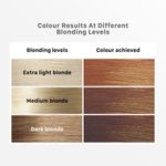 Buy Streax Mini Hair Colour Highlight Kit, Cappuccino Brown, DIY Application, 75 gm - Purplle