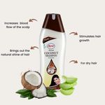 Buy AYUR HERBALS Coconut Shampoo 1000 ml I For Dry Hair I Pack of 1, Unisex - Purplle
