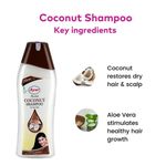 Buy AYUR HERBALS Coconut Shampoo 1000 ml I For Dry Hair I Pack of 1, Unisex - Purplle