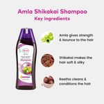 Buy AYUR HERBALS Amla & Shikakai with Reetha Shampoo 500 ml I Controls Hair fall & Nourishes Your Hair I Pack of 1, Unisex - Purplle