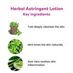 Buy AYUR HERBALS Astringent Enriched with Aloevera & Mint 500 ml I For a Naturally Fresh Skin, Remove Acne Dead Skin I Pack of 1, Unisex - Purplle