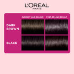 Buy L'Oreal Paris Casting Creme Gloss Hair Color - Ebony Black 200, 87.5 gm + 72 ml No Ammonia - Purplle