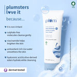 Buy Plum Niacinamide CSMS Routine (Face Wash 100 ml + Sunscreen 50 gm + Moisturizer 50 gm + Serum 15 ml) - Purplle