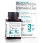Buy WOW Life Science Omega-3 Capsules With Fish Oil - Fatty Acid Enriched 60 Capsules - 60 Capsules 1300mg - Purplle