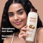 Buy Naturali Daily Strength & Nourish Shampoo with Rice Water & Macadamia Nut Oil | Makes Hair Stronger | Paraben and Sulphate Free Shampoo | Natural Shampoo| 370ml - Purplle