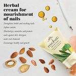 Buy Moha Nail Care Cream Strengthen Dry Nails And Promote Shiny Glow 100 gm - Purplle