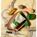 Buy Moha Nail Care Cream Strengthen Dry Nails And Promote Shiny Glow 100 gm - Purplle