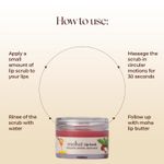 Buy Moha Lip Scrub Exfoliate And Hydrate Lips For Soft Plump Lips 12 gm - Purplle