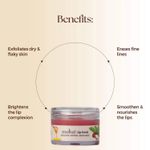 Buy Moha Lip Scrub Exfoliate And Hydrate Lips For Soft Plump Lips 12 gm - Purplle