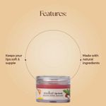 Buy Moha Lip Scrub Exfoliate And Hydrate Lips For Soft Plump Lips 12 gm - Purplle