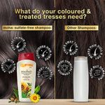 Buy Moha Sulfate-Free Herbal Shampoo Gentle Shampoo For Healthy Hair And Scalp 200 ml - Purplle