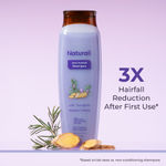 Buy Naturali Anti-Hairfall Shampoo with Rosemary Oil & Ginseng Extract | Reduces Hairfall | Sulphate & Paraben free Shampoo | 200 ml - Purplle