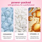 Buy Lotus Herbals Sugar Delight Lip Balm with SPF 15 for Dry and Chapped Lips, Reduces Pigmentation, Moisturises Deeply, Glossy Finish, With Ceramides and Vitamin E, Pink Tint, Fruity Scent, Vegan, Pink - 10 gm - Purplle