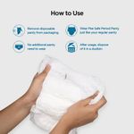 Buy Pee Safe Disposable Period Panties for Women (M-L) - 4 Pc - Purplle