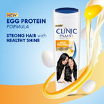 Buy Clinic Plus Strength & Shine With Egg Protein Shampoo, 355 ml - Purplle