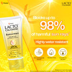 Buy Lacto Calamine Sunscreen, Kaolin Clay With Lemon Extracts SPF 50 PA +++, 50 gm - Purplle