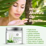 Buy Nuerma Science Natural Aloe Vera Gel Great for Face, Sunburn Relief, Acne, Razor Bumps, Psoriasis, Eczema, Dry Skin Hydration (200 gm) - Purplle