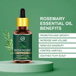 Buy Nuerma Science Rosemary Essential Oil (Pure & Natural) For Hair Growth Hair Oil (15 ml) - Purplle