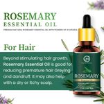 Buy Nuerma Science Rosemary Essential Oil (Pure & Natural) For Hair Growth Hair Oil (15 ml) - Purplle