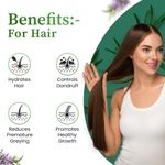 Buy Nuerma Science Rosemary Essential Oil (Pure & Natural) For Hair Growth Hair Oil (15 ml) - Purplle