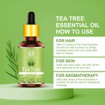 Buy Nuerma Science Tea Tree Essential Oil (100% Pure and Natural, Therapeutic Grade) After Bath Oil Hair Oil (15 ml) - Purplle