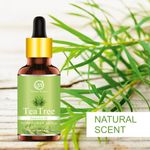 Buy Nuerma Science Tea Tree Essential Oil (100% Pure and Natural, Therapeutic Grade) After Bath Oil Hair Oil (15 ml) - Purplle