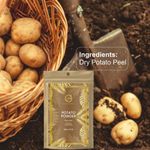 Buy Nuerma Science Potato Powder for Dark Circle Removal & Skin Lightening & Dark Spots Clear (100 gm) - Purplle