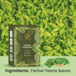 Buy Nuerma Science Henna Powder for Hair & Hand Natural Henna Color (100 gm) - Purplle