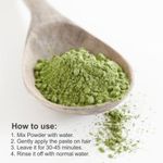 Buy Nuerma Science Indigo Powder Henna Mehndi For Black Hair Color (100 gm) - Purplle