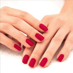 Buy Lakme 9to5 P+G Nail Perky Pink - Purplle