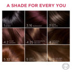 Buy L'Oreal Paris Excellence Creme Hair Color - Aishwarya's Brown 4.25 (72 ml + 100 gm) - Purplle