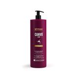 Buy Streax Professional Canvoline Shampoo 1500 ml - Purplle