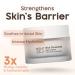 Buy Beyond Rice Rice Ceramide Gel Cream moisturizer (50 gm) - Purplle