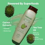 Buy Naturali Dandruff Defence Shampoo with Tea Tree Oil & Cactus Extracts | Prevents Dandruff | Paraben and Sulphate Free Shampoo | Anti Dandruff Shampoo | 370 ml - Purplle