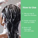 Buy Naturali Dandruff Defence Shampoo with Tea Tree Oil & Cactus Extracts | Prevents Dandruff | Paraben and Sulphate Free Shampoo | Anti Dandruff Shampoo | 370 ml - Purplle