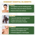 Buy Mystiq Living Rosemary Water Essential Oil Combo, Rosemary Water Spray 100 ml, Rosemary Essential Oil for Hair Growth -15 ml, Hair Fall Control Rosemary Water (Combo of 2) - Purplle