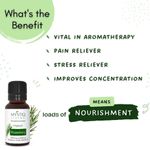 Buy Mystiq Living Rosemary Water Essential Oil Combo, Rosemary Water Spray 100 ml, Rosemary Essential Oil for Hair Growth -15 ml, Hair Fall Control Rosemary Water (Combo of 2) - Purplle