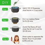 Buy Mystiq Living Rosemary Dry Leaves & Rosemary Essential Oil for Hair Growth & Hair Fall Control Organic Dried Rosemary Leaves for Food, Tea and Hair - 70 gm, Rosemary Oil for Hair -15 ml (Combo of 2) - Purplle