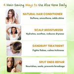 Buy Mystiq Living Rose Water Spray for Face (100 ml) & Aloe Vera Gel For Face And Hair (220 gm) Dark Spots Removal Gel, Gulab Jal Rose Water Spray | Rose Water Toner Spray (combo of 2) - Purplle
